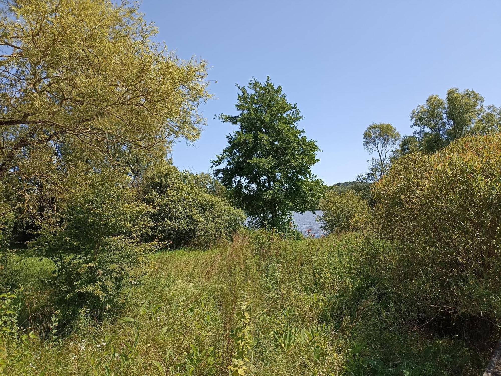 Gite Nature Et Detente Aubreville Exterior photo