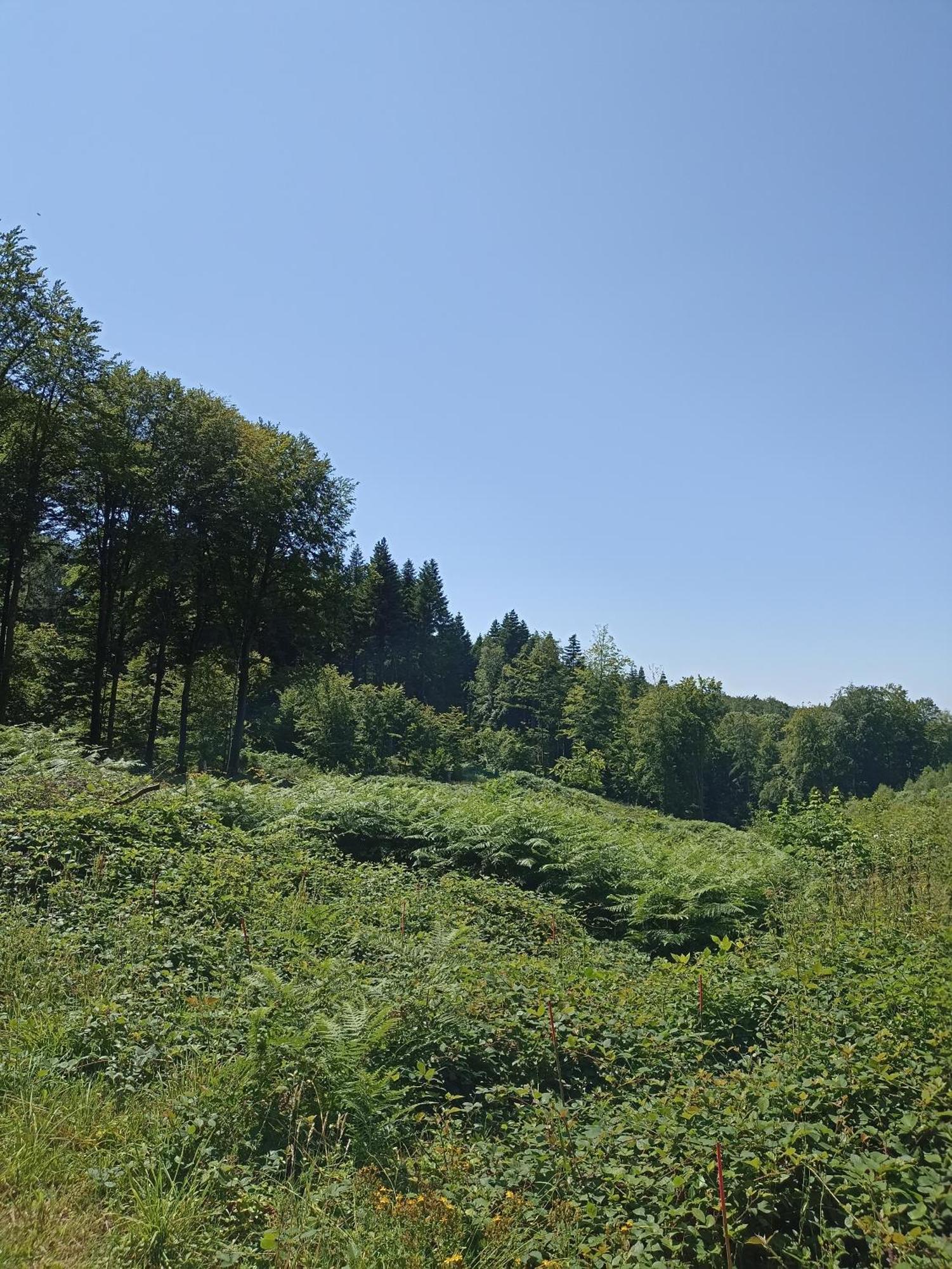 Gite Nature Et Detente Aubreville Exterior photo