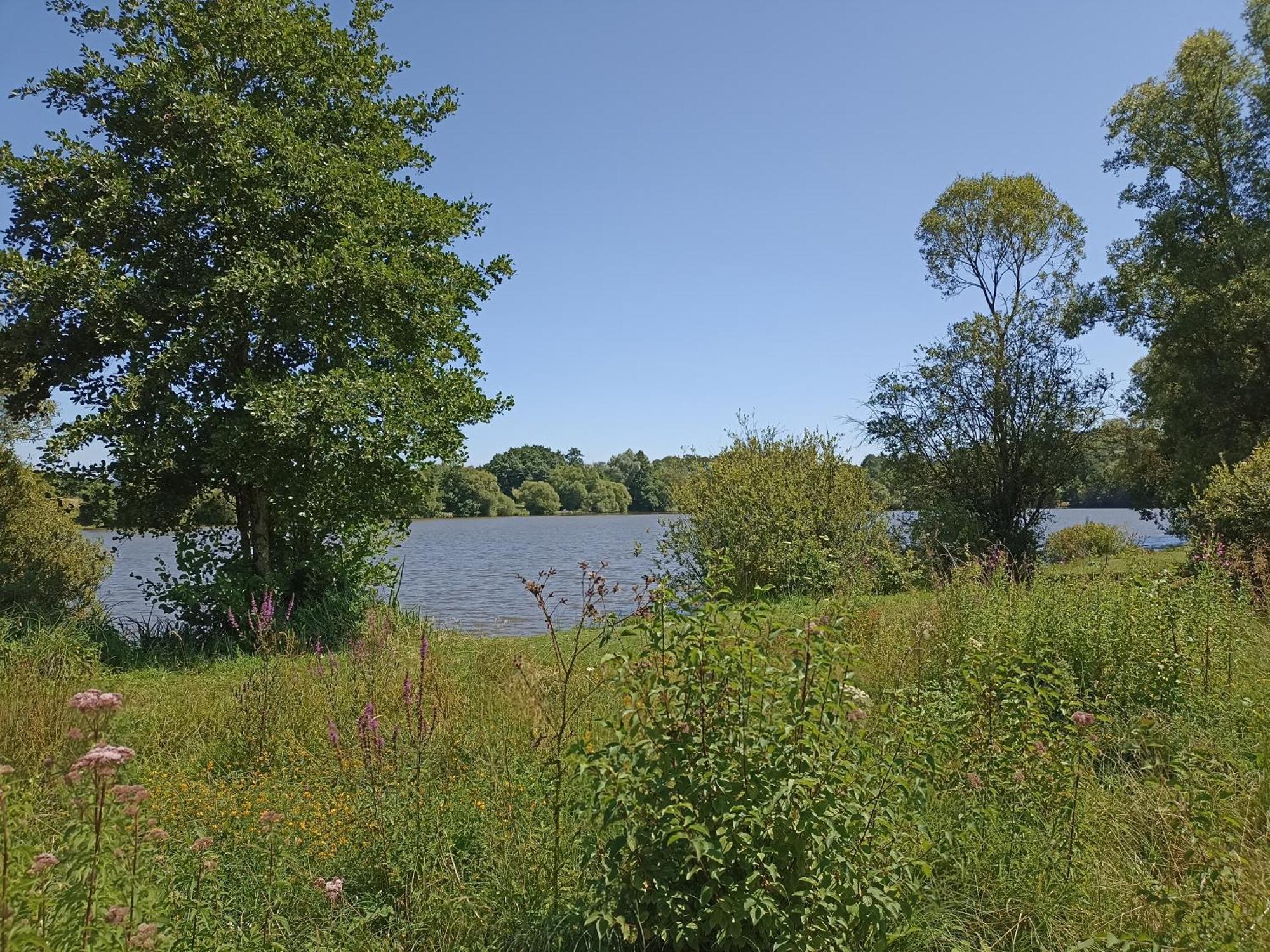 Gite Nature Et Detente Aubreville Exterior photo
