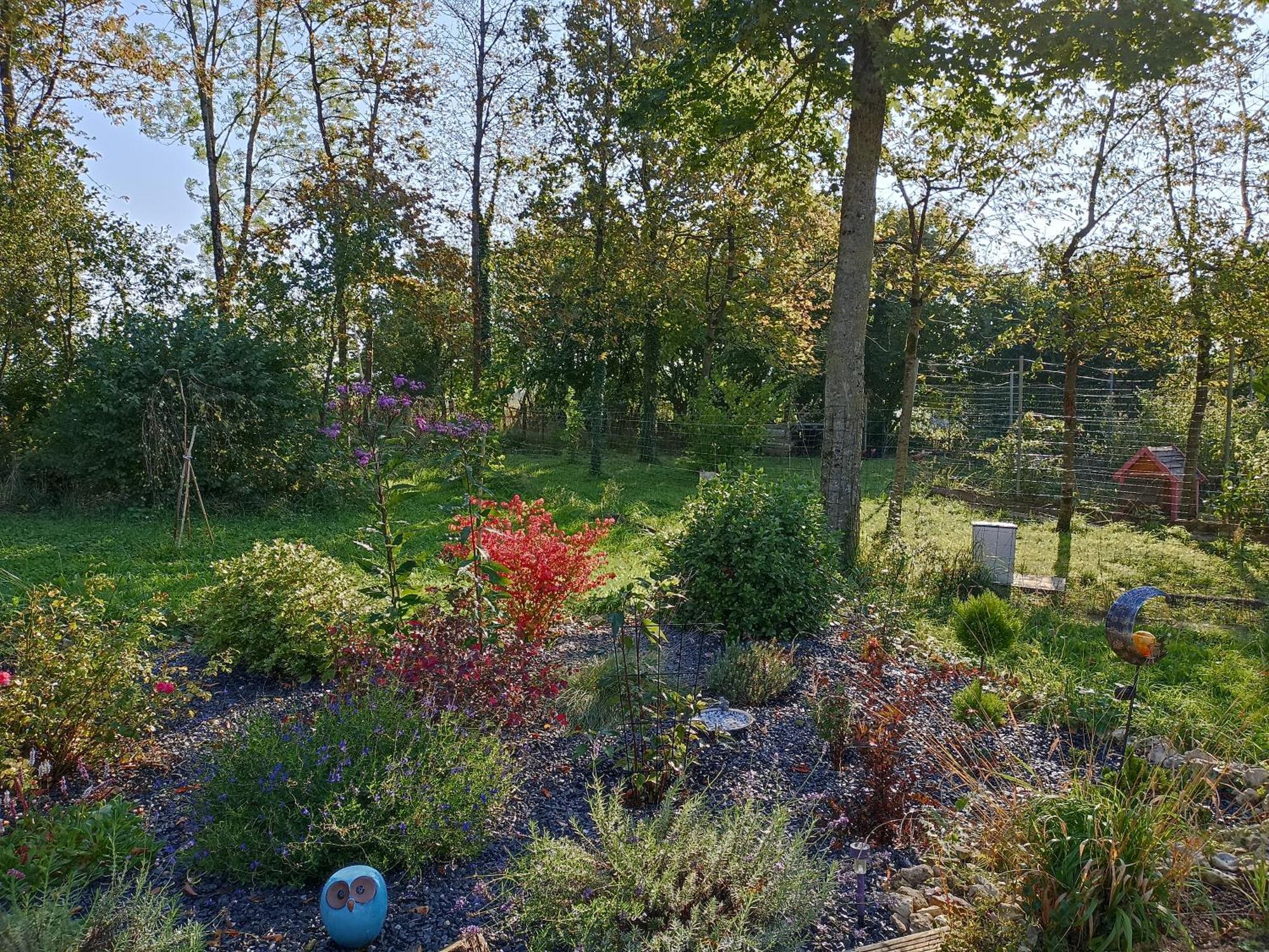 Gite Nature Et Detente Aubreville Exterior photo
